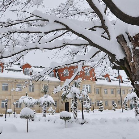 Vilesh Palace Hotel Masallı Kültér fotó