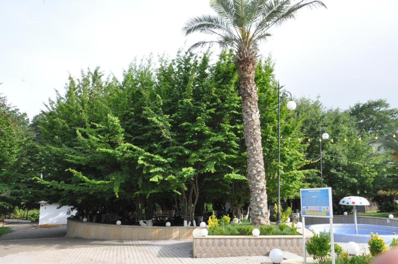 Vilesh Palace Hotel Masallı Kültér fotó
