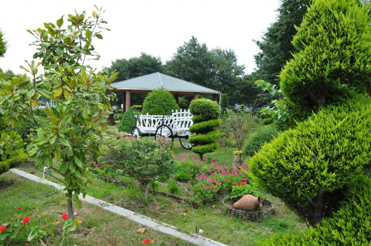 Vilesh Palace Hotel Masallı Kültér fotó