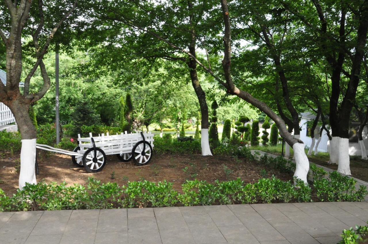 Vilesh Palace Hotel Masallı Kültér fotó