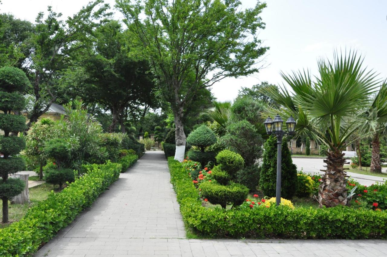 Vilesh Palace Hotel Masallı Kültér fotó